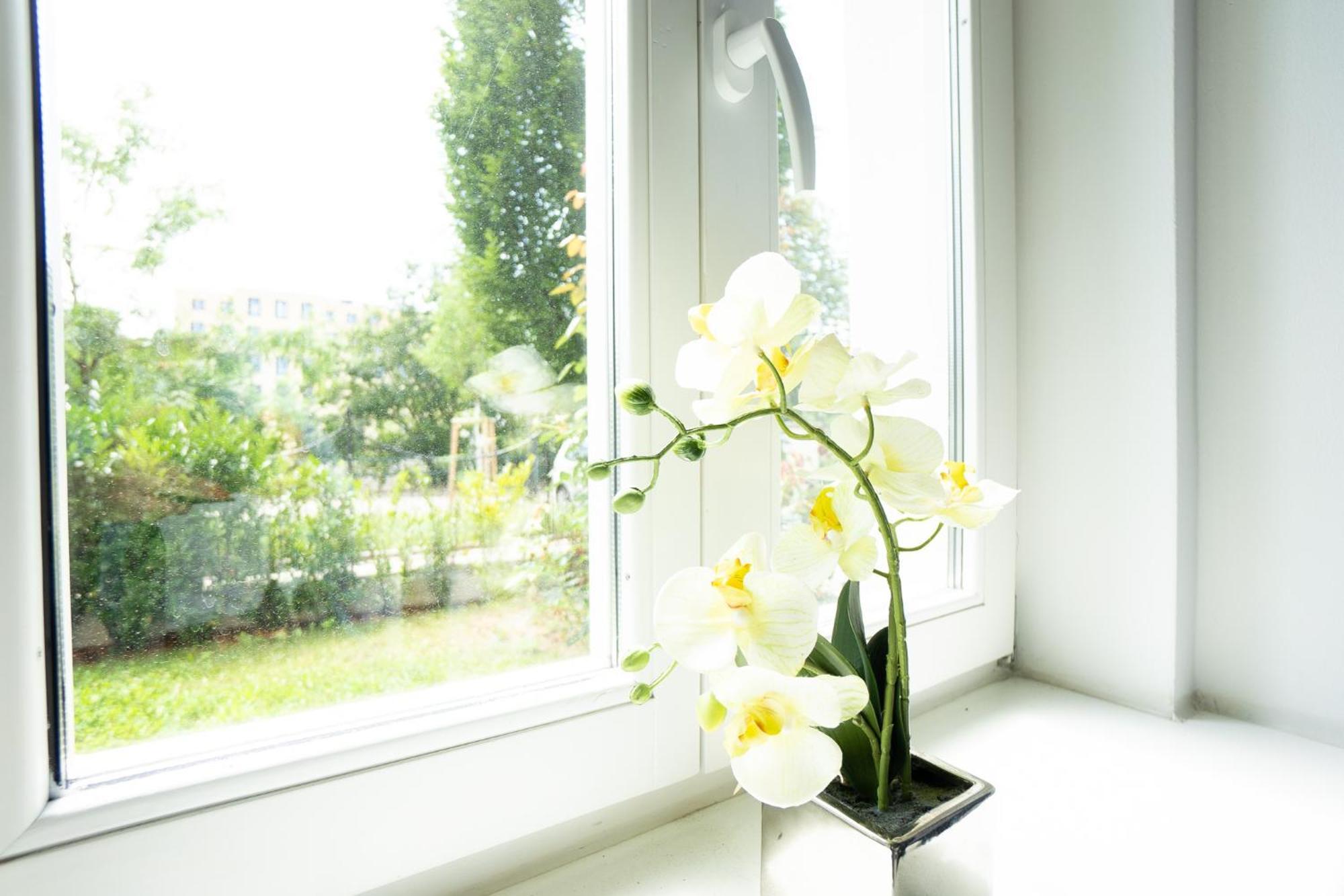 Dainn Apartments Schoenbrunn เวียนนา ภายนอก รูปภาพ